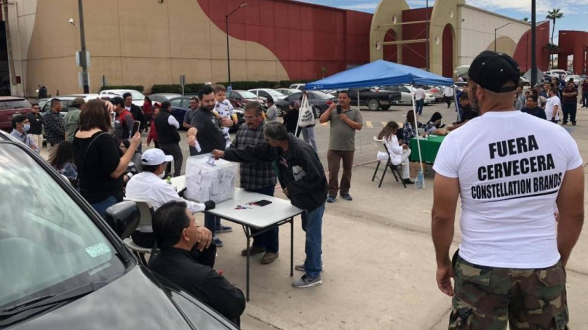 Varapalo a la cervecera de Constellation Brands, triunfo del pueblo de Mexicali