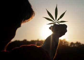 Primeras impresiones de la inminente legalización de la marihuana en México