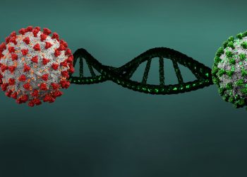 La genética evolutiva del SARS-CoV-2 y la estupidez asesina de la burguesía