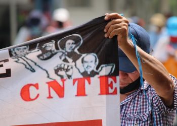 Los principios rectores de la Coordinadora Nacional de Trabajadores de la Educación, vigencia y aplicación