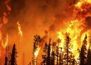 Catástrofe climática y superbeneficios: las verdaderas preocupaciones de la clase dominante