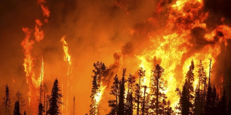 Catástrofe climática y superbeneficios: las verdaderas preocupaciones de la clase dominante