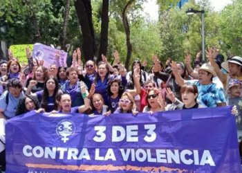 Ley 3 de 3: Ningún violentador al poder