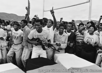 ¿Los boicots, desinversiones y sanciones derrocaron el régimen del apartheid en Sudáfrica?