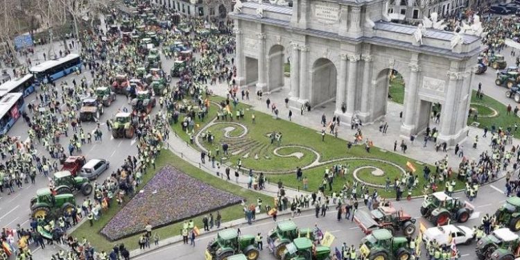 Revuelta de los agricultores europeos: una amarga cosecha para la clase dominante