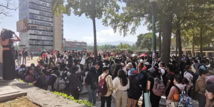 El acoso sexual en las escuelas y cómo combatirlo