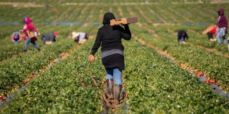 Pronunciamiento SUTIEMS contra la persecución de nuestros hermanos migrantes