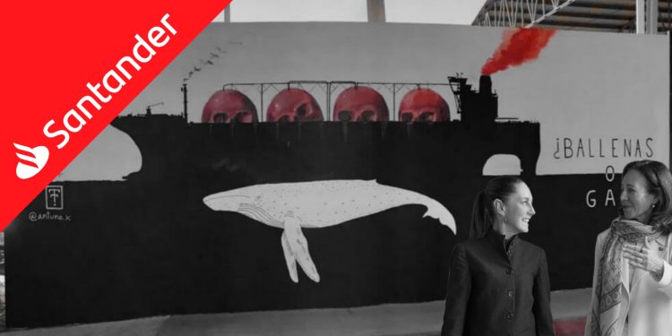 Proyecto Saguaro: Santander se une al ecocidio del Golfo de California