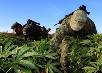 El tráfico de drogas y el crimen organizado: herramientas de dominación del imperialismo estadounidense