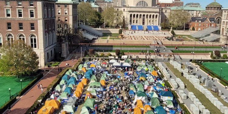 Estados Unidos: Trump intensifica los ataques contra las universidades